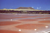 Lanzarote - Salinas del Rio